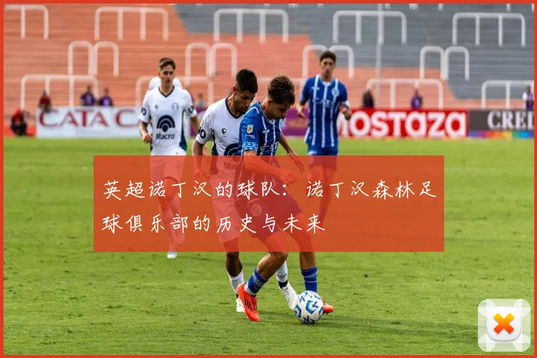 英超诺丁汉的球队：诺丁汉森林足球俱乐部的历史与未来