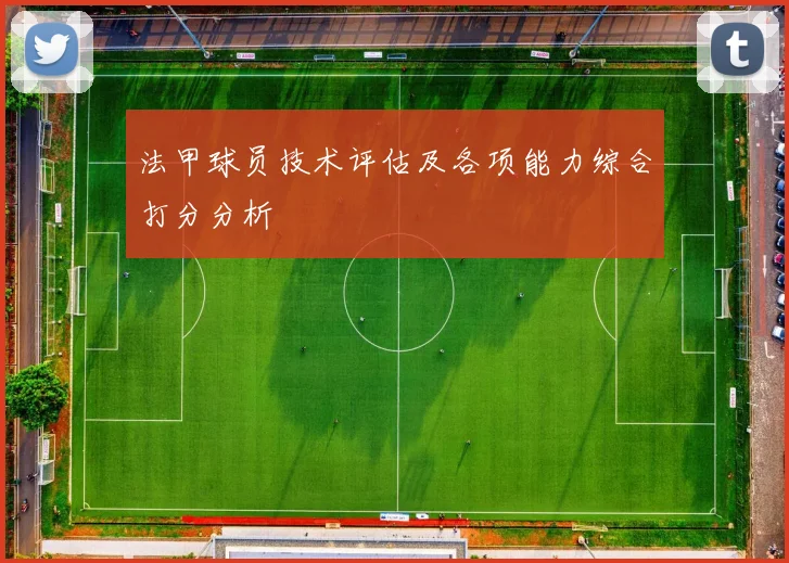 法甲球员技术评估及各项能力综合打分分析